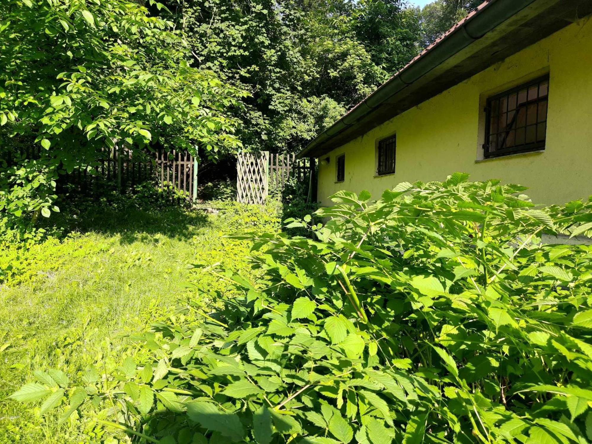 Apartman Lucie Liběchov Exteriör bild